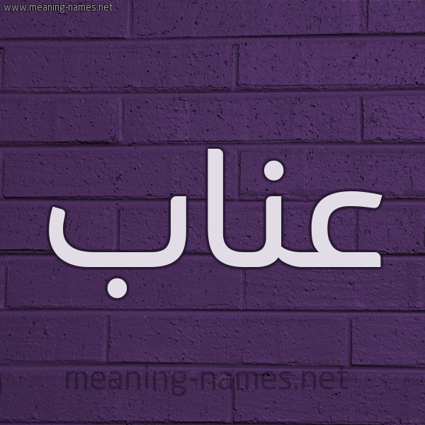 شكل 12 الإسم على الحائط الجداري صورة اسم عناب Enab