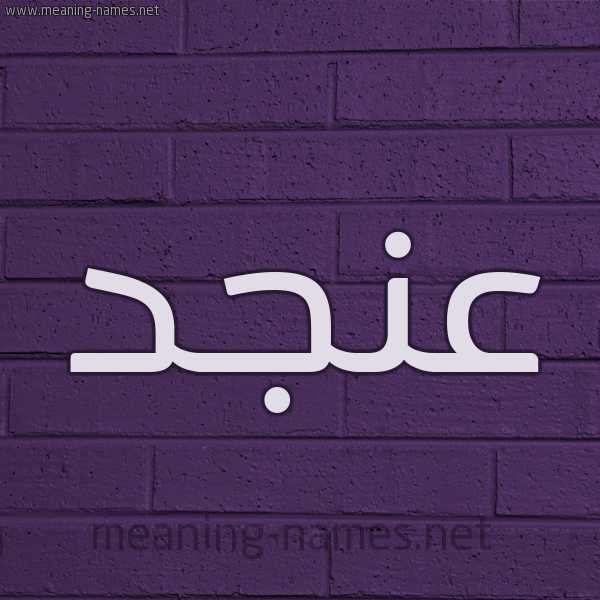شكل 12 الإسم على الحائط الجداري صورة اسم عنجد Anjd