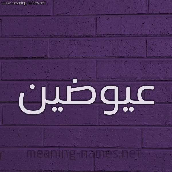 شكل 12 الإسم على الحائط الجداري صورة اسم عيوضين Awadin