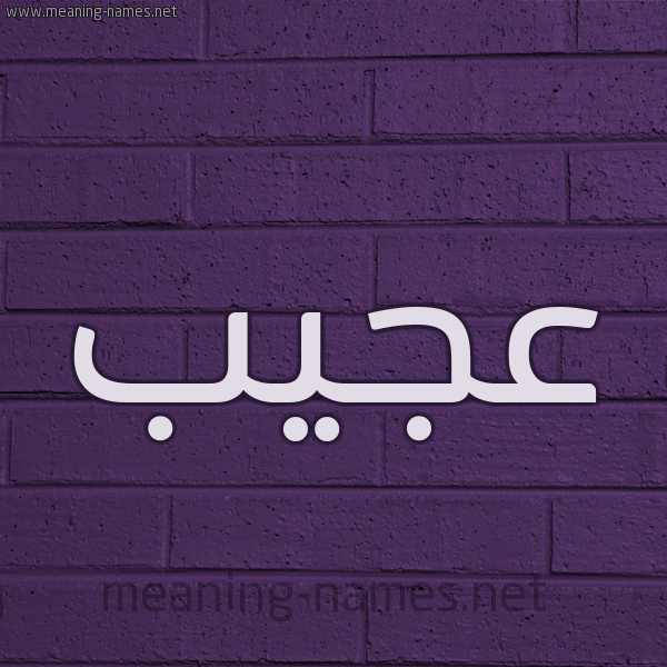 شكل 12 الإسم على الحائط الجداري صورة اسم عَجِيب AGEIB