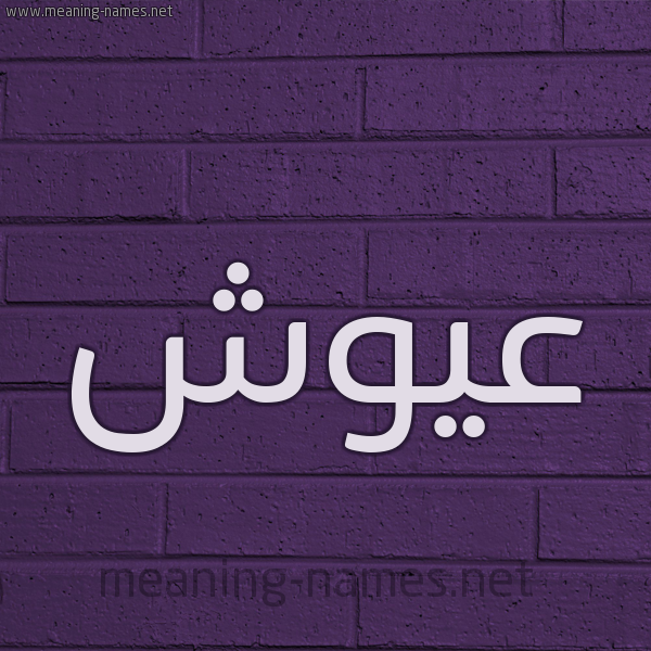 شكل 12 الإسم على الحائط الجداري صورة اسم عَيُّوش AAIOOSH شكل 12 الإسم على الحائط الجداري صورة اسم عَيُّوش AAIOOSH