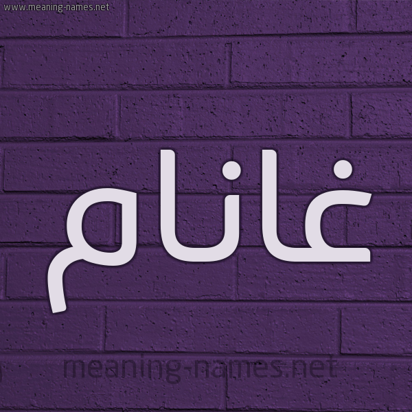 شكل 12 الإسم على الحائط الجداري صورة اسم غانَّام Ghannam شكل 12 الإسم على الحائط الجداري صورة اسم غانَّام Ghannam
