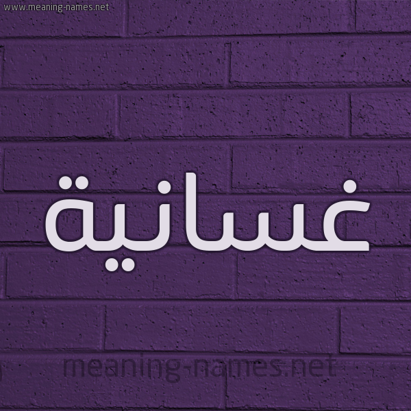 شكل 12 الإسم على الحائط الجداري صورة اسم غسانية Ghsanyh
