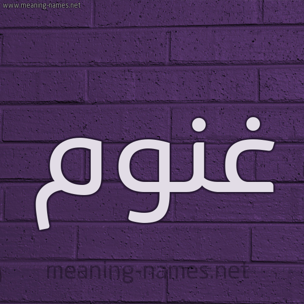 شكل 12 الإسم على الحائط الجداري صورة اسم غَنُّوم GHANOOM شكل 12 الإسم على الحائط الجداري صورة اسم غَنُّوم GHANOOM
