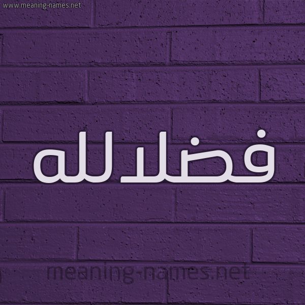 شكل 12 الإسم على الحائط الجداري صورة اسم فضلالله Fdlallh