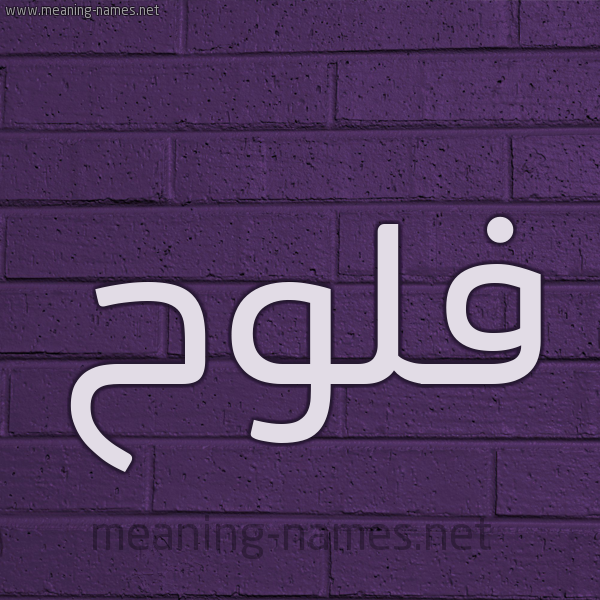 شكل 12 الإسم على الحائط الجداري صورة اسم فَلُّوح FALOOH شكل 12 الإسم على الحائط الجداري صورة اسم فَلُّوح FALOOH