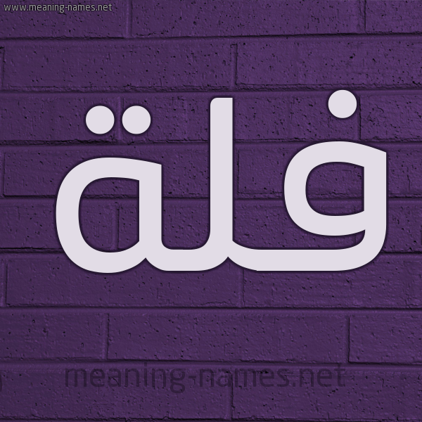 شكل 12 الإسم على الحائط الجداري صورة اسم فُلَّة FOLAH شكل 12 الإسم على الحائط الجداري صورة اسم فُلَّة FOLAH