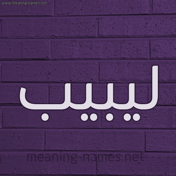 شكل 12 الإسم على الحائط الجداري صورة اسم ليبيب Labib