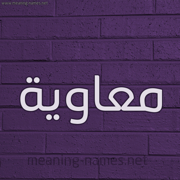شكل 12 الإسم على الحائط الجداري صورة اسم مُعاوية Moawia