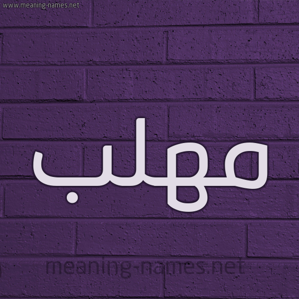 شكل 12 الإسم على الحائط الجداري صورة اسم مُهَلَّب MOHALAB