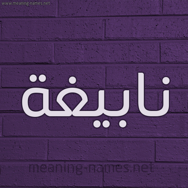 شكل 12 الإسم على الحائط الجداري صورة اسم نابيغة Nabegha