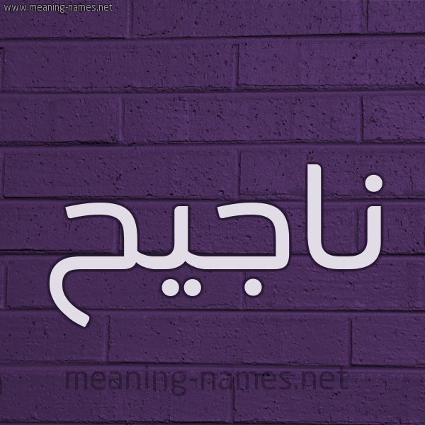 شكل 12 الإسم على الحائط الجداري صورة اسم ناجيح ,Najeh