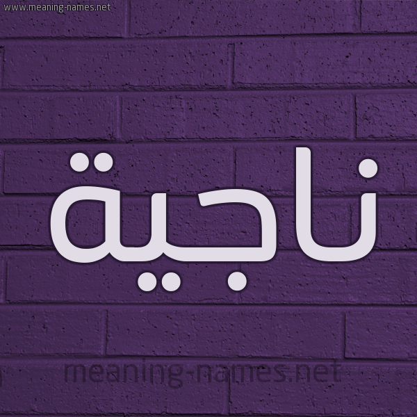شكل 12 الإسم على الحائط الجداري صورة اسم ناجِية NAGEIH