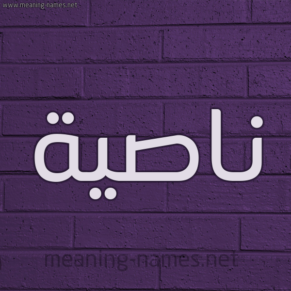 شكل 12 الإسم على الحائط الجداري صورة اسم ناصية Nasyh
