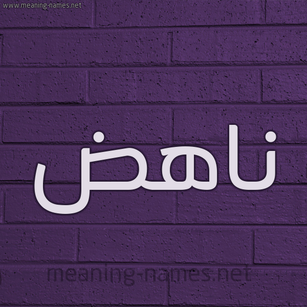 شكل 12 الإسم على الحائط الجداري صورة اسم ناهض Nahd.