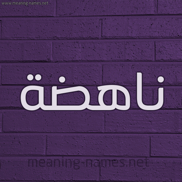 شكل 12 الإسم على الحائط الجداري صورة اسم ناهضة Nahd'h