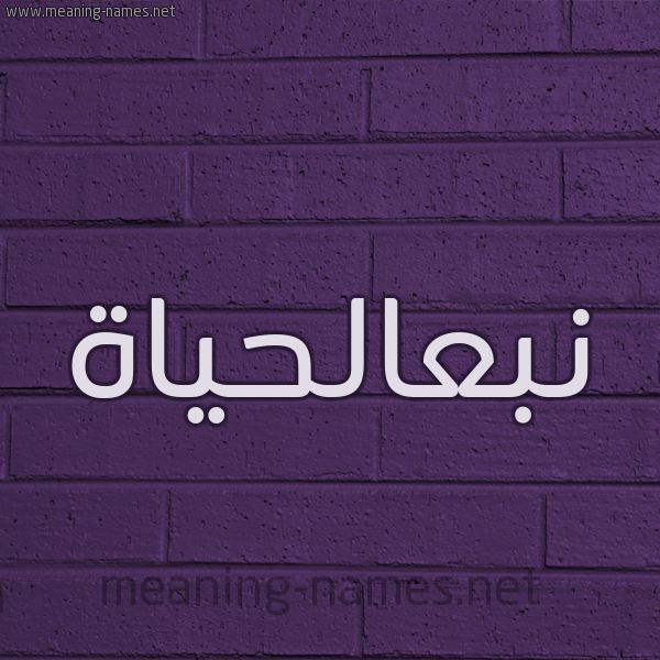 شكل 12 الإسم على الحائط الجداري صورة اسم نبعالحياة Nb'alhyah