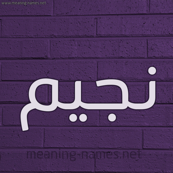 شكل 12 الإسم على الحائط الجداري صورة اسم نجيم NAJEM