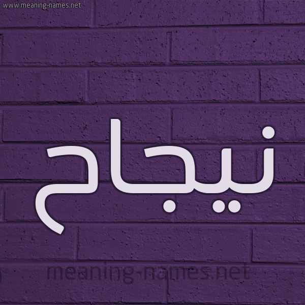 شكل 12 الإسم على الحائط الجداري صورة اسم نيجاح Najah