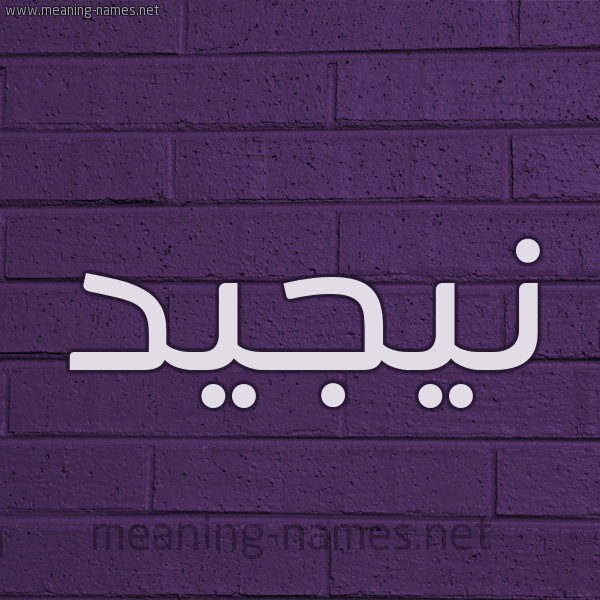 شكل 12 الإسم على الحائط الجداري صورة اسم نيجيد Najed