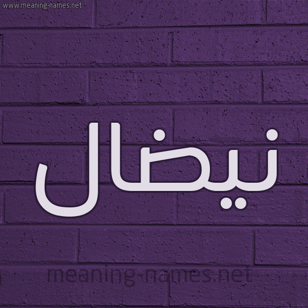 شكل 12 الإسم على الحائط الجداري صورة اسم نيضال Nidal