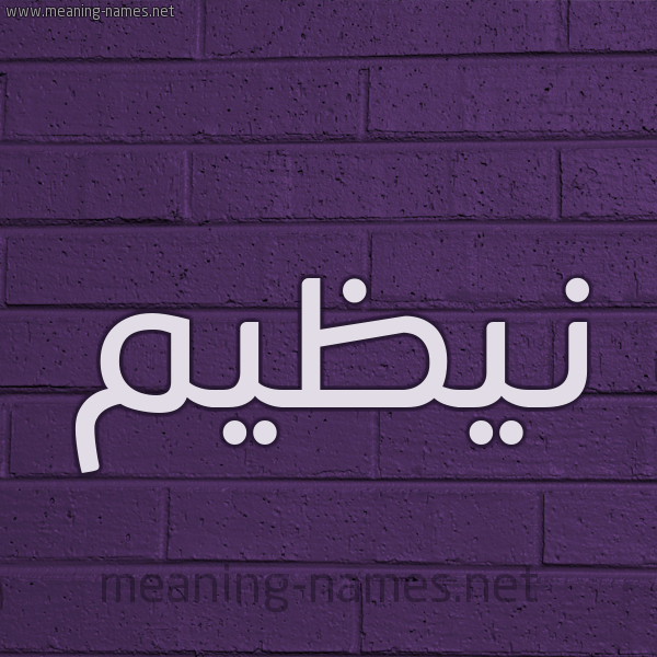 شكل 12 الإسم على الحائط الجداري صورة اسم نيظيم Nazim