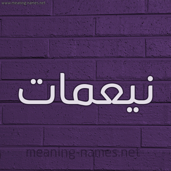 شكل 12 الإسم على الحائط الجداري صورة اسم نيعمات Nemaat