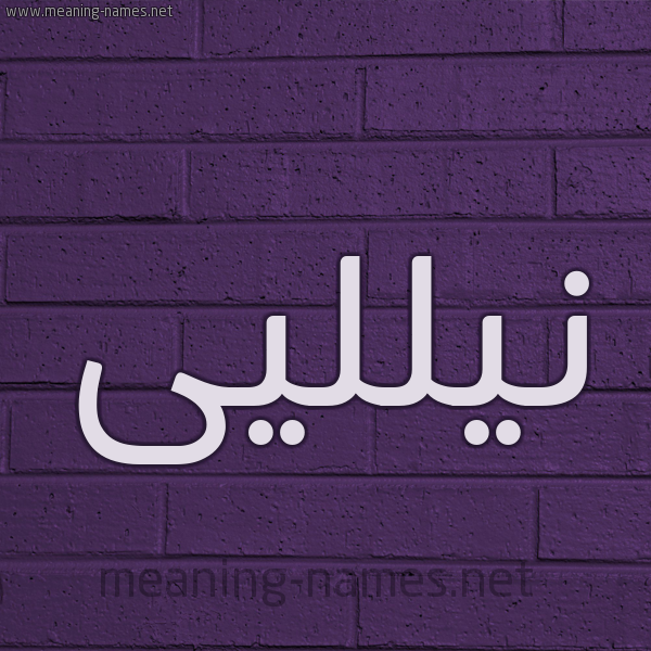 شكل 12 الإسم على الحائط الجداري صورة اسم نيلليى nillei