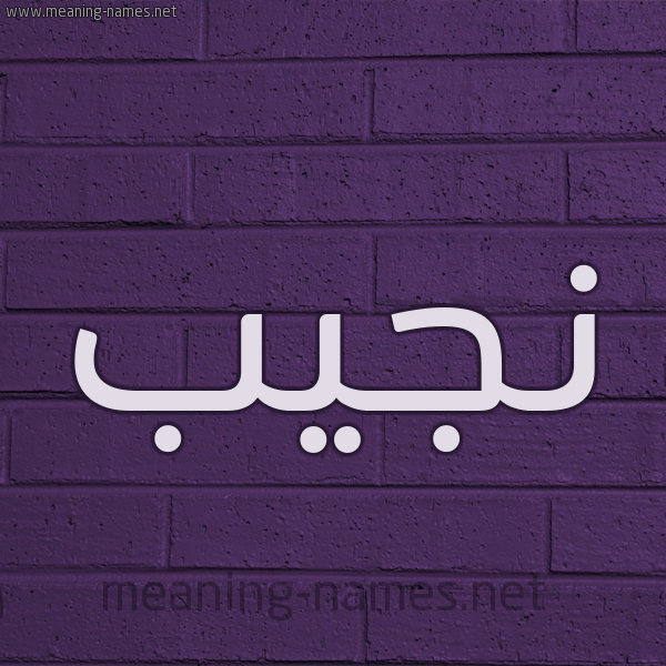 شكل 12 الإسم على الحائط الجداري صورة اسم نَجيب NAGIB