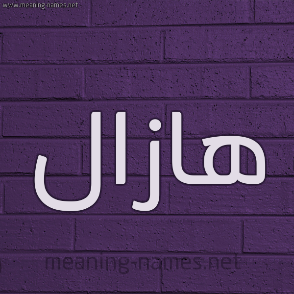 شكل 12 الإسم على الحائط الجداري صورة اسم هازال Hazal