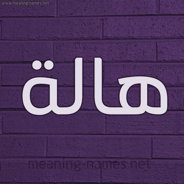 شكل 12 الإسم على الحائط الجداري صورة اسم هالة Hala