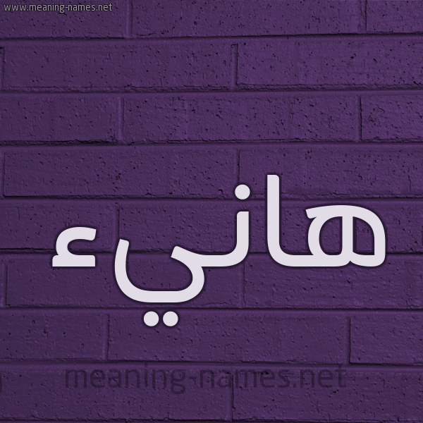 شكل 12 الإسم على الحائط الجداري صورة اسم هانيء Hany'a