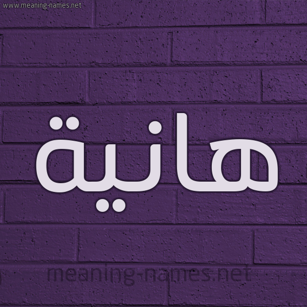 شكل 12 الإسم على الحائط الجداري صورة اسم هانية Hania