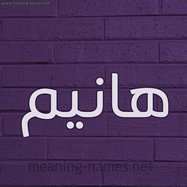 شكل 12 الإسم على الحائط الجداري صورة اسم هانيم Hanim