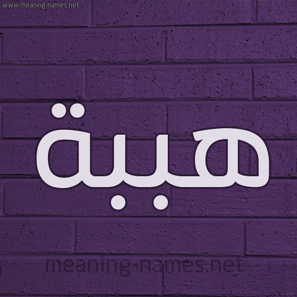 شكل 12 الإسم على الحائط الجداري صورة اسم هببة Heba