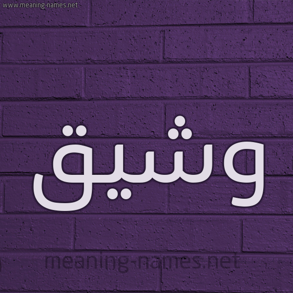 شكل 12 الإسم على الحائط الجداري صورة اسم وشيق Wshyq