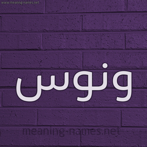 شكل 12 الإسم على الحائط الجداري صورة اسم وَنُّوس Oanoos شكل 12 الإسم على الحائط الجداري صورة اسم وَنُّوس Oanoos