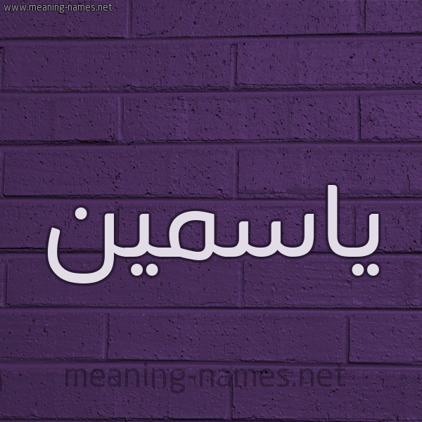 شكل 12 الإسم على الحائط الجداري صورة اسم ياسمين Yasmin