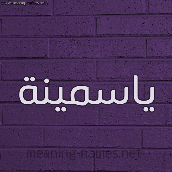 شكل 12 الإسم على الحائط الجداري صورة اسم ياسمينة Yasmina