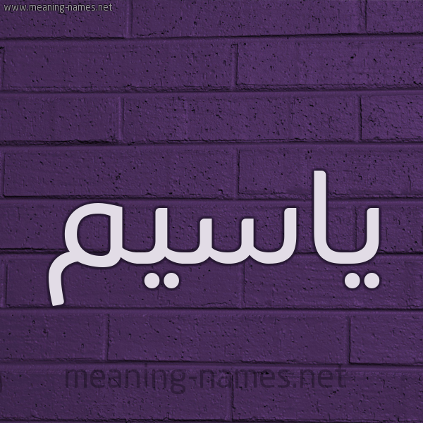 شكل 12 الإسم على الحائط الجداري صورة اسم ياسيم Yasim