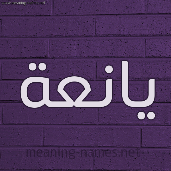 شكل 12 الإسم على الحائط الجداري صورة اسم يانعة IANAH
