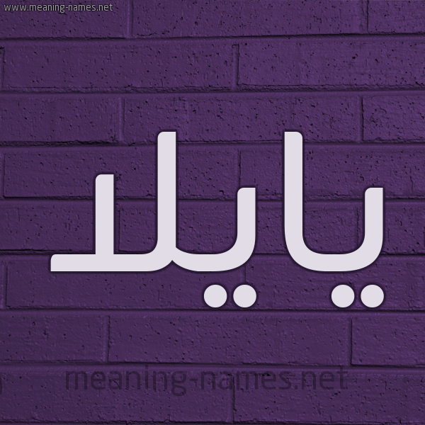 شكل 12 الإسم على الحائط الجداري صورة اسم يايلا Aila