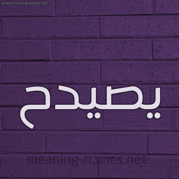 شكل 12 الإسم على الحائط الجداري صورة اسم يصيدح Saidah