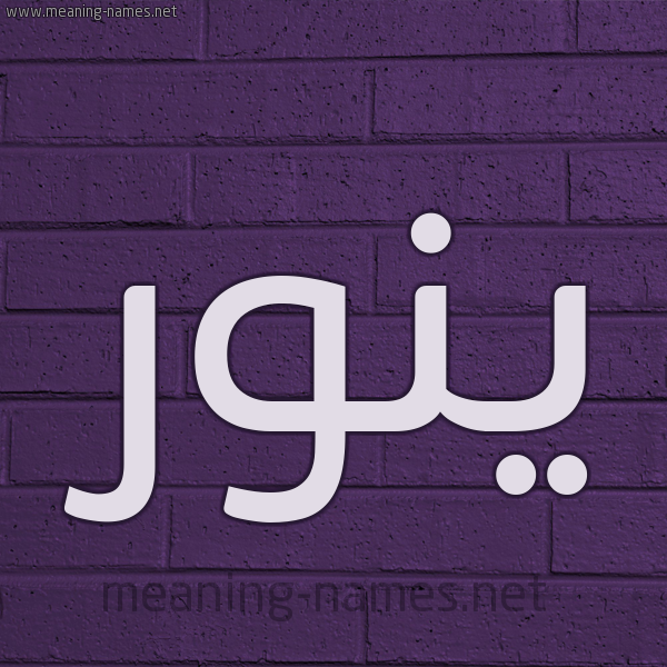 شكل 12 الإسم على الحائط الجداري صورة اسم ينور Nour