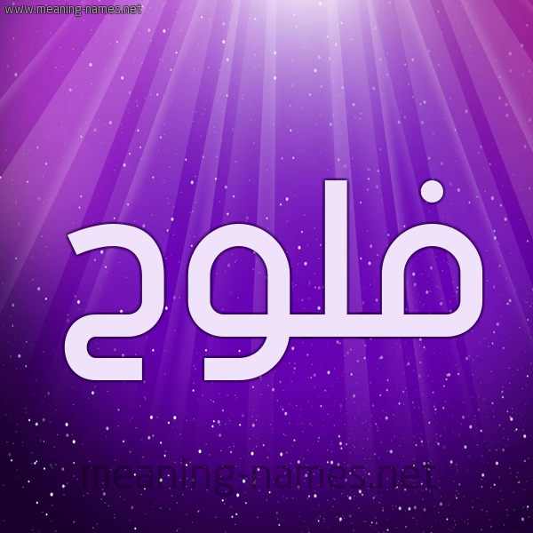 شكل 13 الإسم على خلفية باللون البنفسج والاضاءة والنجوم صورة اسم فَلُّوح FALOOH شكل 13 الإسم على خلفية باللون البنفسج والاضاءة والنجوم صورة اسم فَلُّوح FALOOH