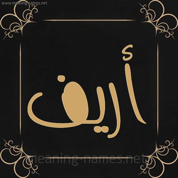 صورة اسم أريف areef شكل 14 الإسم على خلفية سوداء واطار برواز ذهبي 