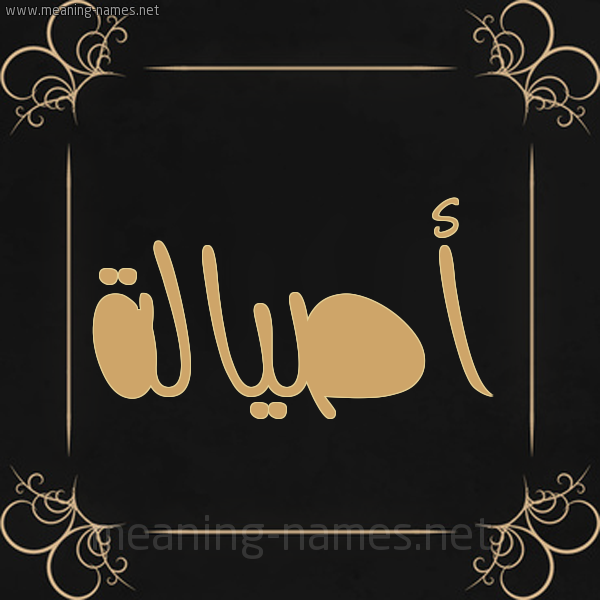 صورة اسم أصيالة Assala شكل 14 الإسم على خلفية سوداء واطار برواز ذهبي 