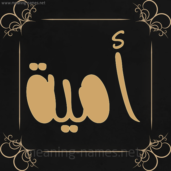 صورة اسم أمية Omia شكل 14 الإسم على خلفية سوداء واطار برواز ذهبي 