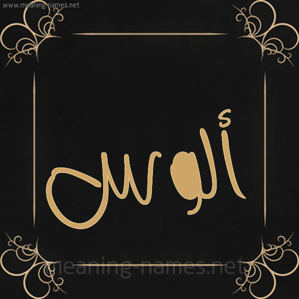 شكل 14 الإسم على خلفية سوداء واطار برواز ذهبي صورة اسم أَلُّوس AALOOS شكل 14 الإسم على خلفية سوداء واطار برواز ذهبي صورة اسم أَلُّوس AALOOS