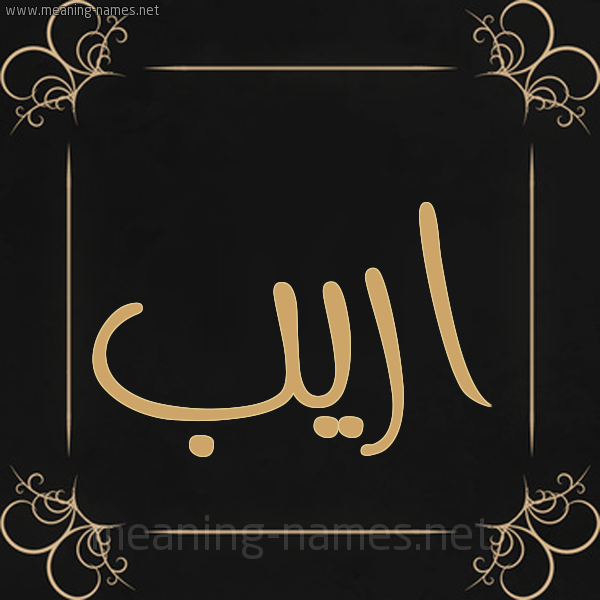صورة اسم اريب Arib شكل 14 الإسم على خلفية سوداء واطار برواز ذهبي 